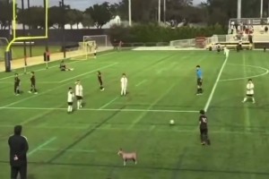 有你爹风范！梅西三儿子任意球直接破门